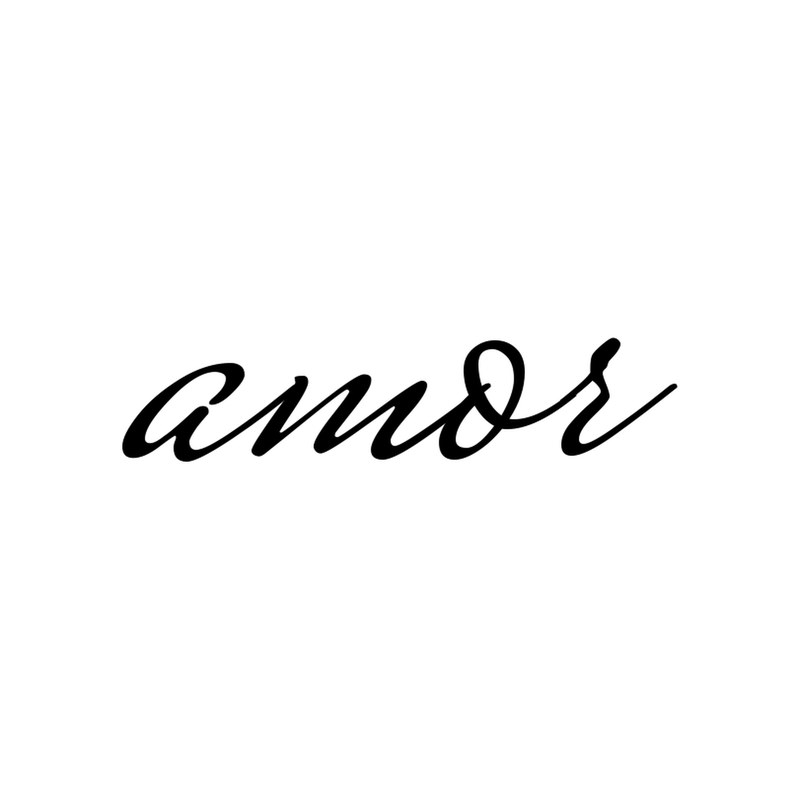 The word amor in fine script